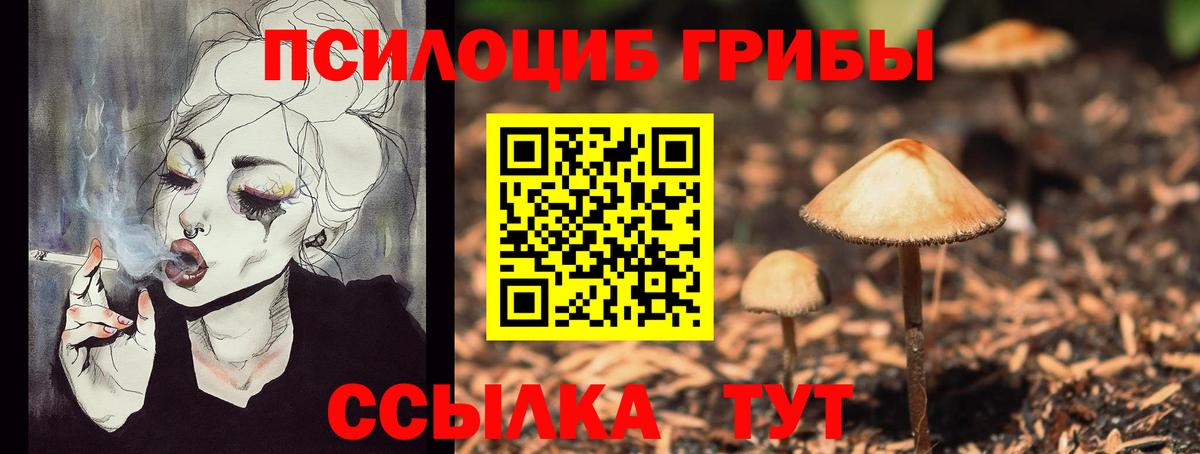 Псилоцибиновые грибы GOLDEN TEACHER  Вход с VPN  Губаха  закладки  Псилоцибиновые грибы прущие грибы 